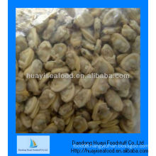 high quality frozen short necked clam